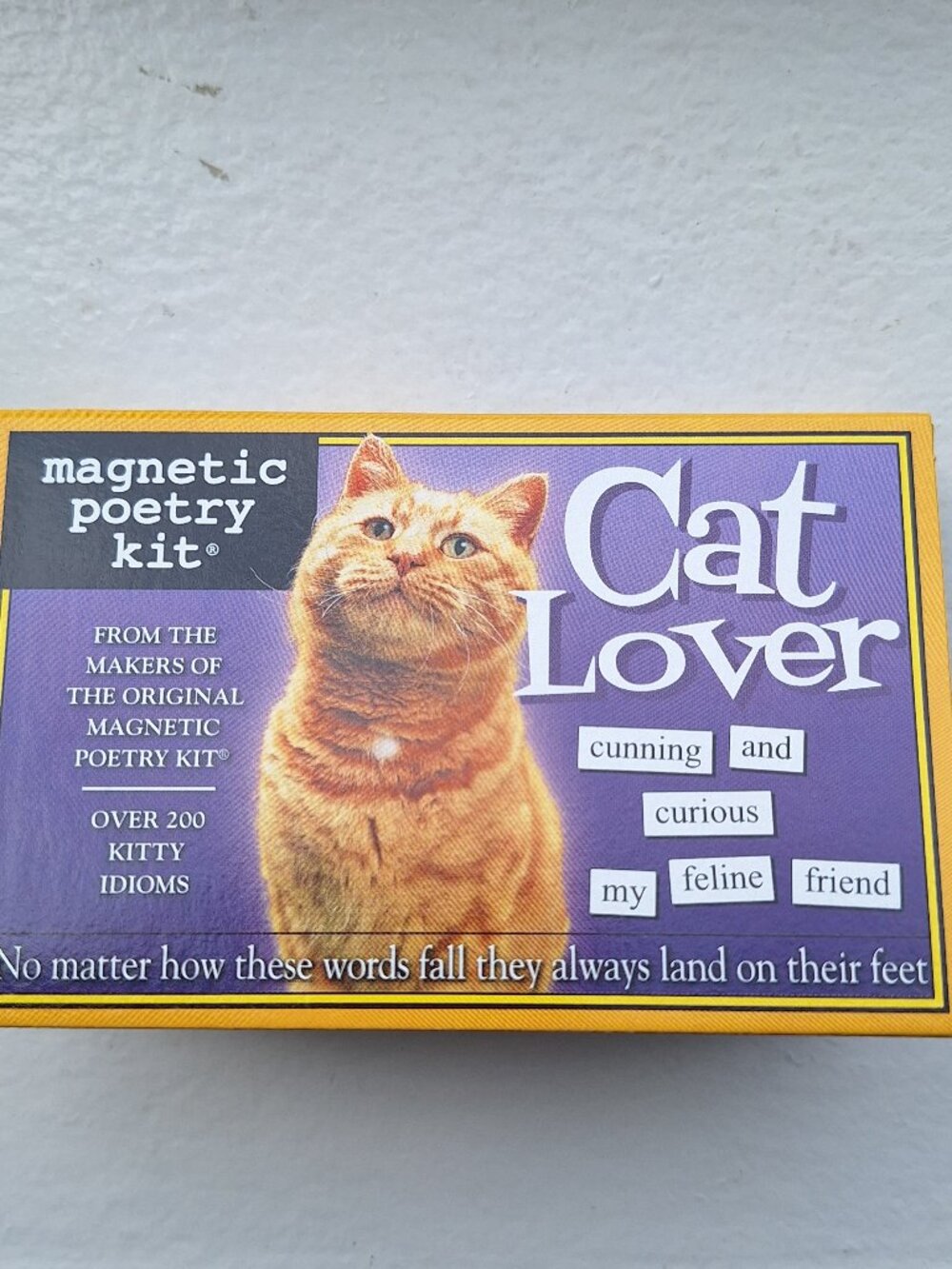 CAT LOVER MAGNET POETRY KIT